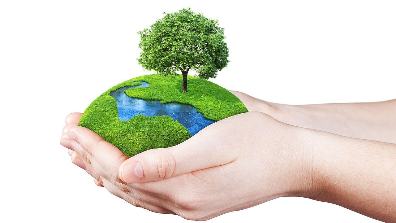 FAWCO Environment Festival