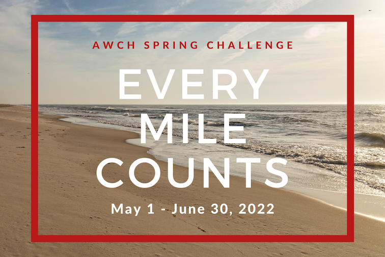 EveryMile Main Graphic