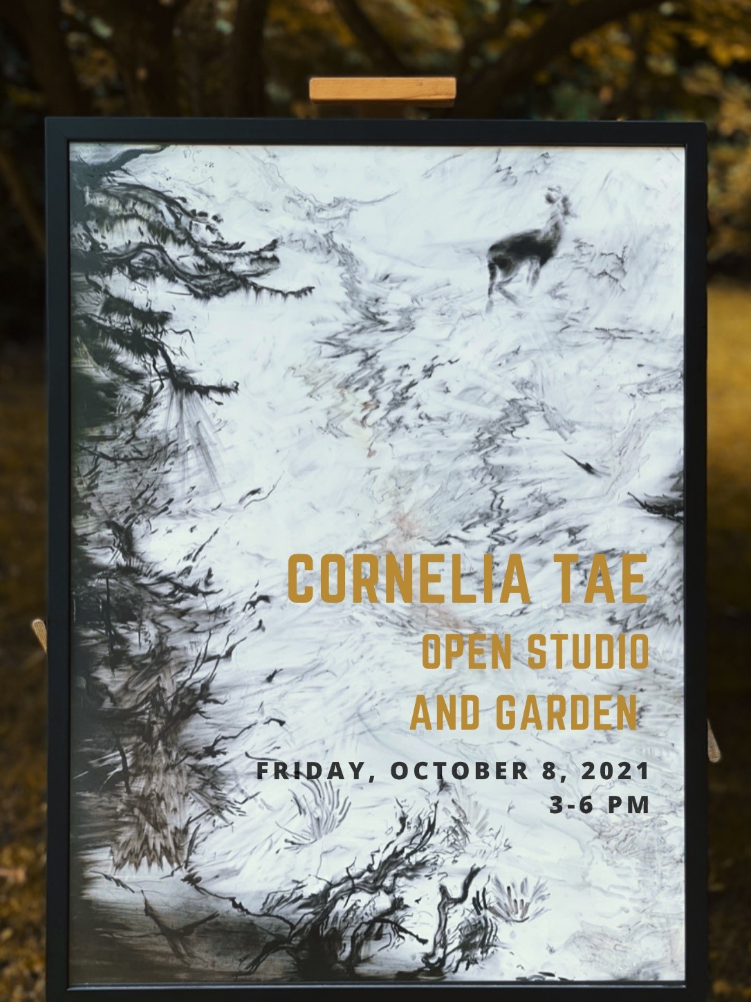 Cornelia Tae