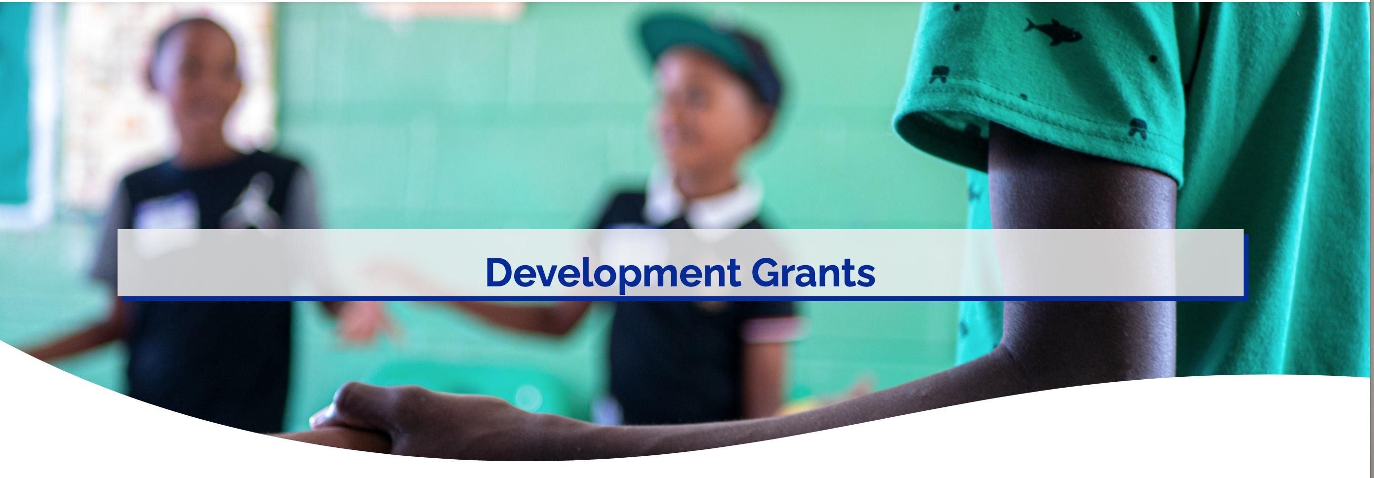 Apply for a FAWCO Development Grant