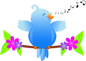 bird nancy