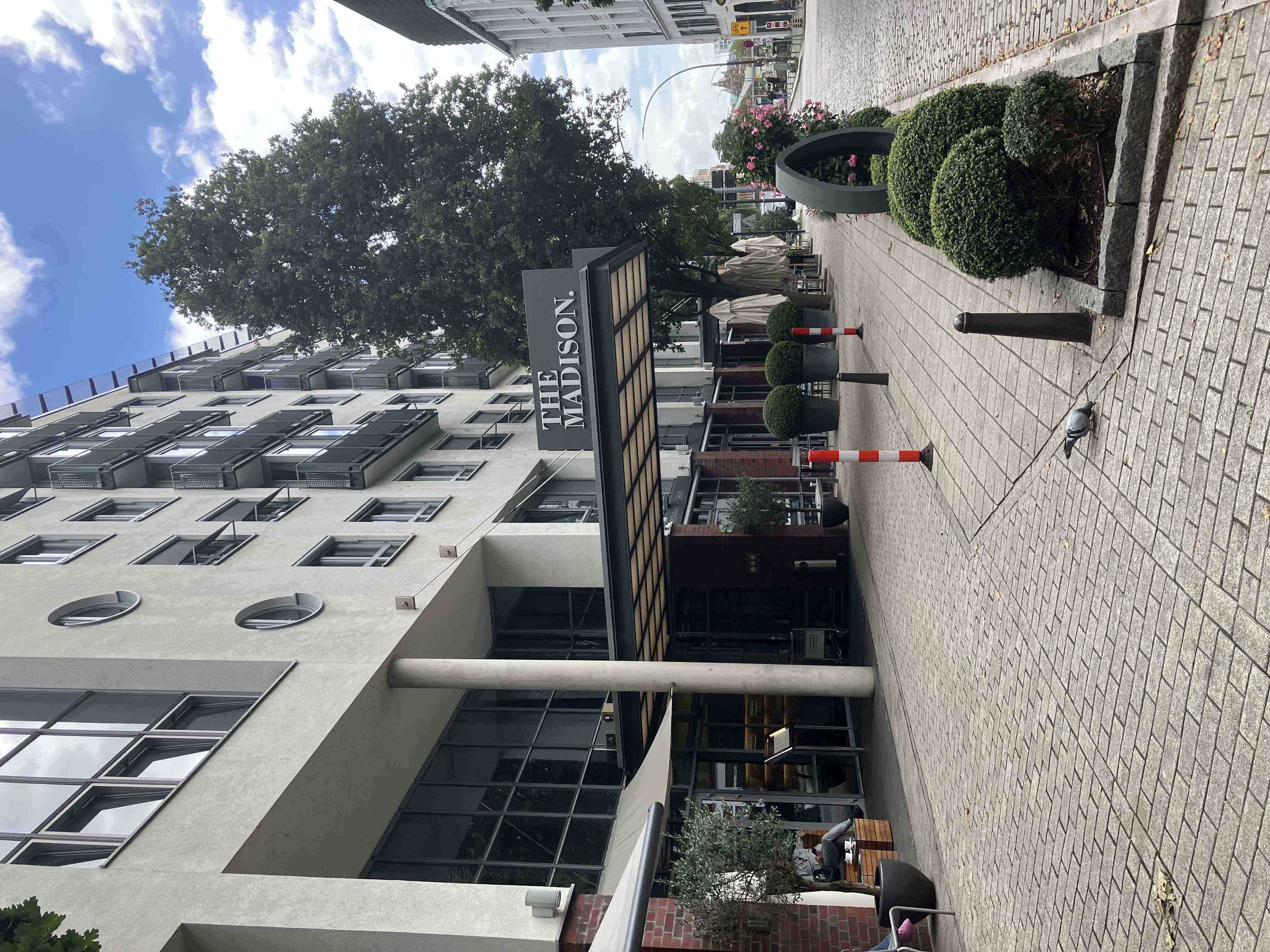 IMG 0877