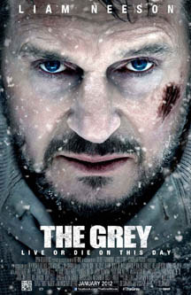 the grey