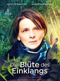 Die Blüte des Einklangs