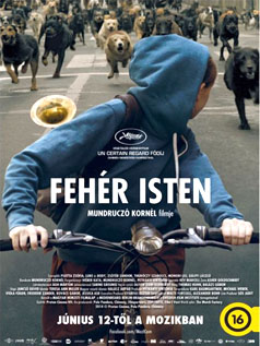 Underdog (Fehér Isten, White God) 