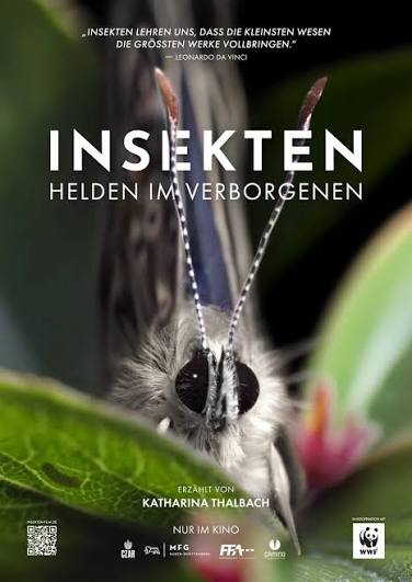 Insekten Helden im Verbogenen