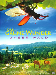 das grne wunder unser wald