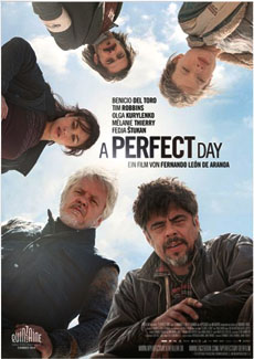 A Perfect Day 