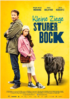 kleine Ziege- Sturer Bock